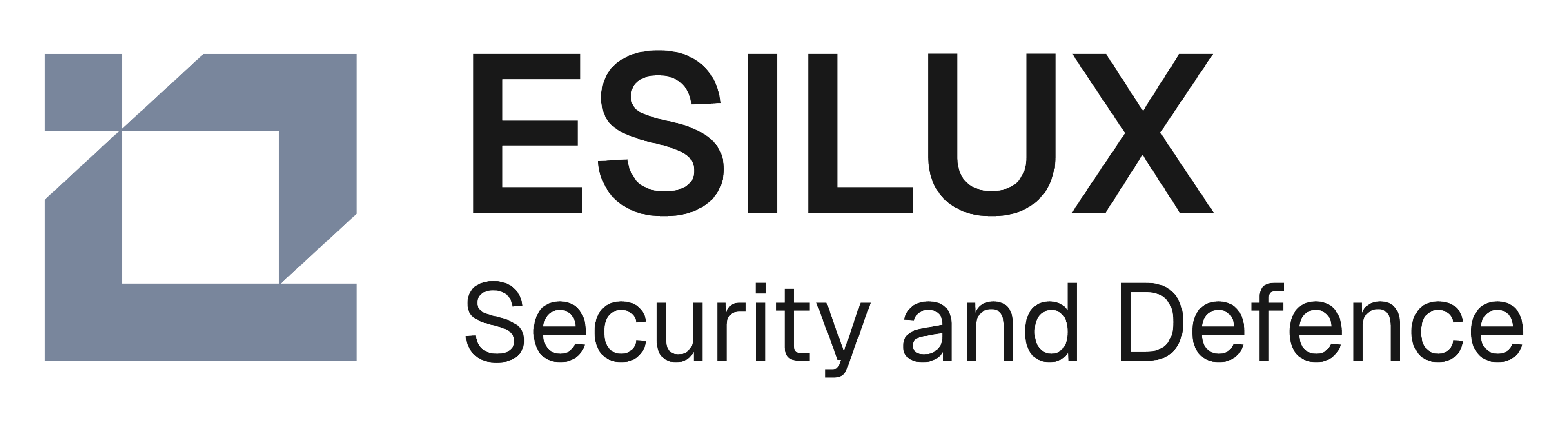 Security and Defence logo