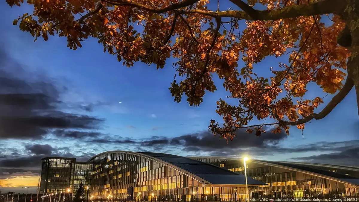 From Asset to Liability: Europe’s Security Dependence on America